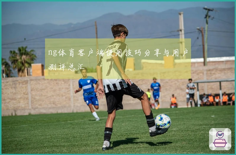 ng体育客户端使用技巧分享与用户测评总汇