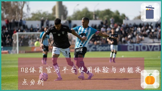 ng体育官方平台使用体验与功能亮点分析