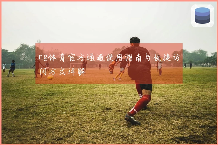 ng体育官方通道使用指南与快捷访问方式详解