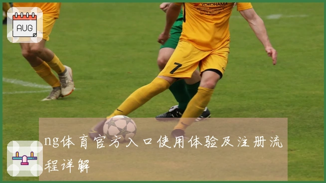 ng体育官方入口使用体验及注册流程详解