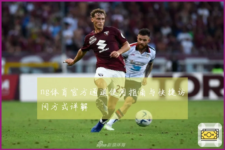 ng体育官方通道使用指南与快捷访问方式详解