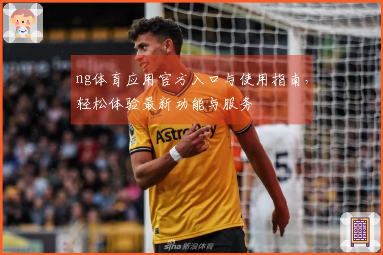 ng体育应用官方入口与使用指南，轻松体验最新功能与服务