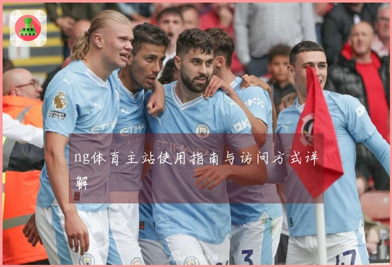 ng体育主站使用指南与访问方式详解