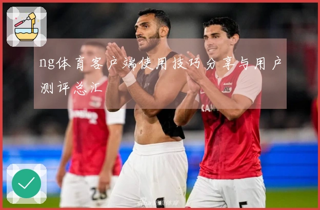 ng体育客户端使用技巧分享与用户测评总汇