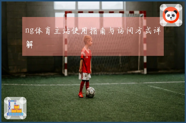ng体育主站使用指南与访问方式详解